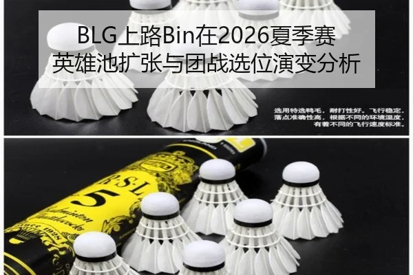 BLG上路Bin在2026夏季赛英雄池扩张与团战选位演变分析